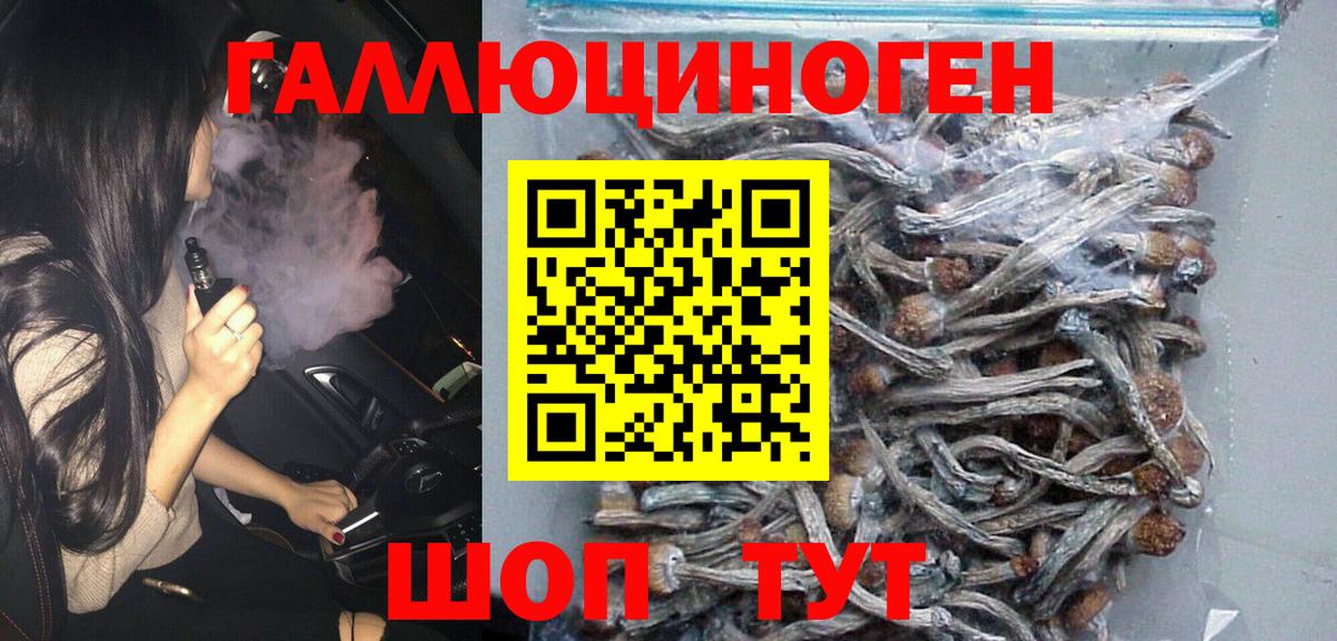 Галлюциногенные грибы MAGIC MUSHROOMS Амурск