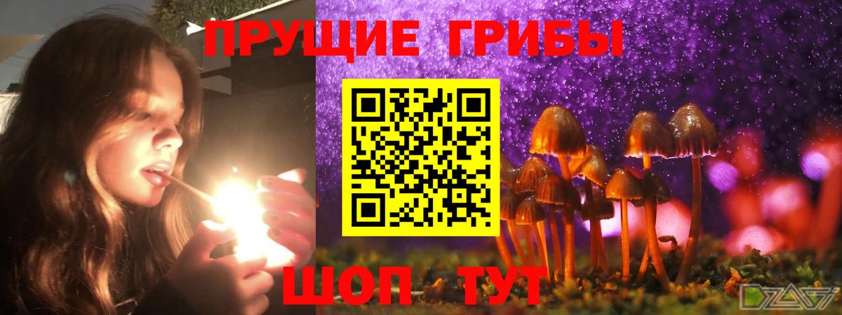 Псилоцибиновые грибы Magic Shrooms  Вход с VPN  где купить наркоту  Амурск 